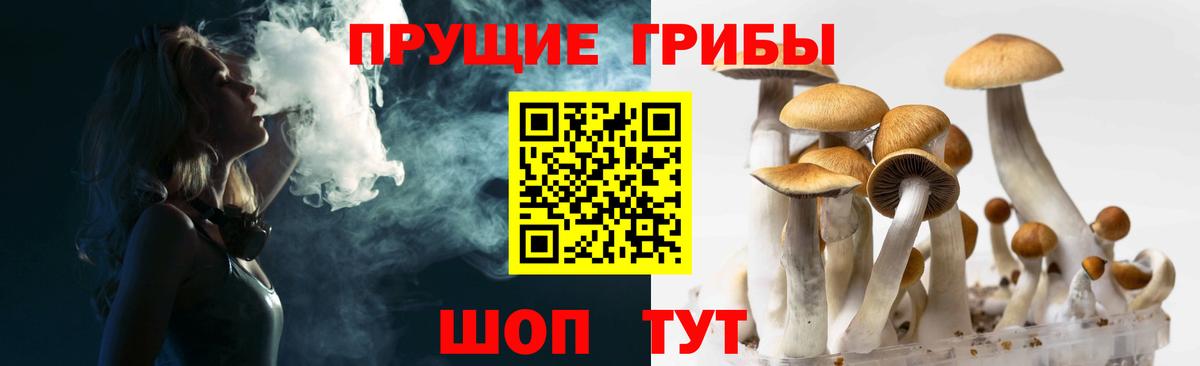 Галлюциногенные грибы прущие грибы  Псилоцибиновые грибы MAGIC MUSHROOMS  купить   Домодедово  Вход с VPN 